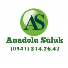 DÖŞEMEALTI SÜLÜK TIBBİ STERİL DOKTOR SÜLÜK SATIŞI 